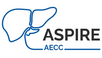 RUEDA DE PRENSA: “ASPIRE-AECC: Mejorar la supervivencia de los pacientes de cáncer de hígado combinando inmunoterapia y cirugía”