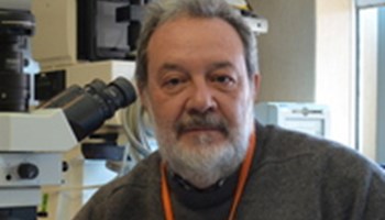 Dissecting metastatic Bladder Cancer