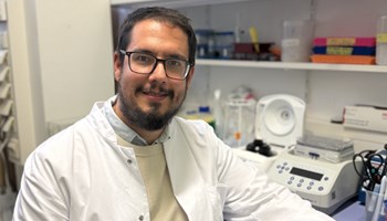 Dysregulated RNA Splicing targets Cancer by Proteotoxic Stress.